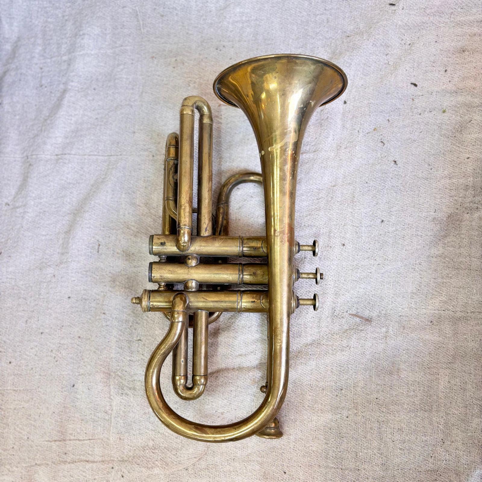 Brass cornet on a textured beige background