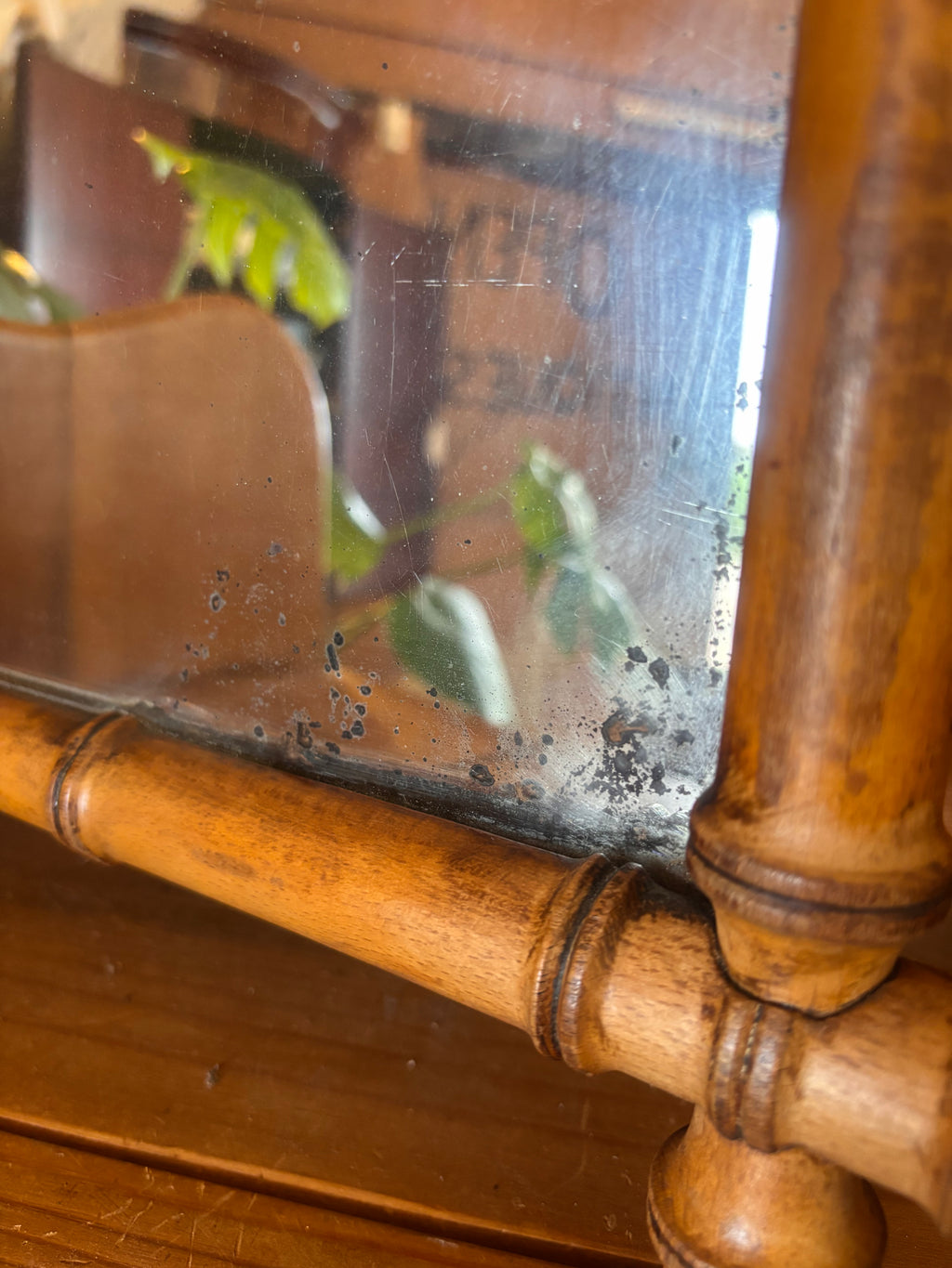 A Bamboo mirror reflecting a plant 