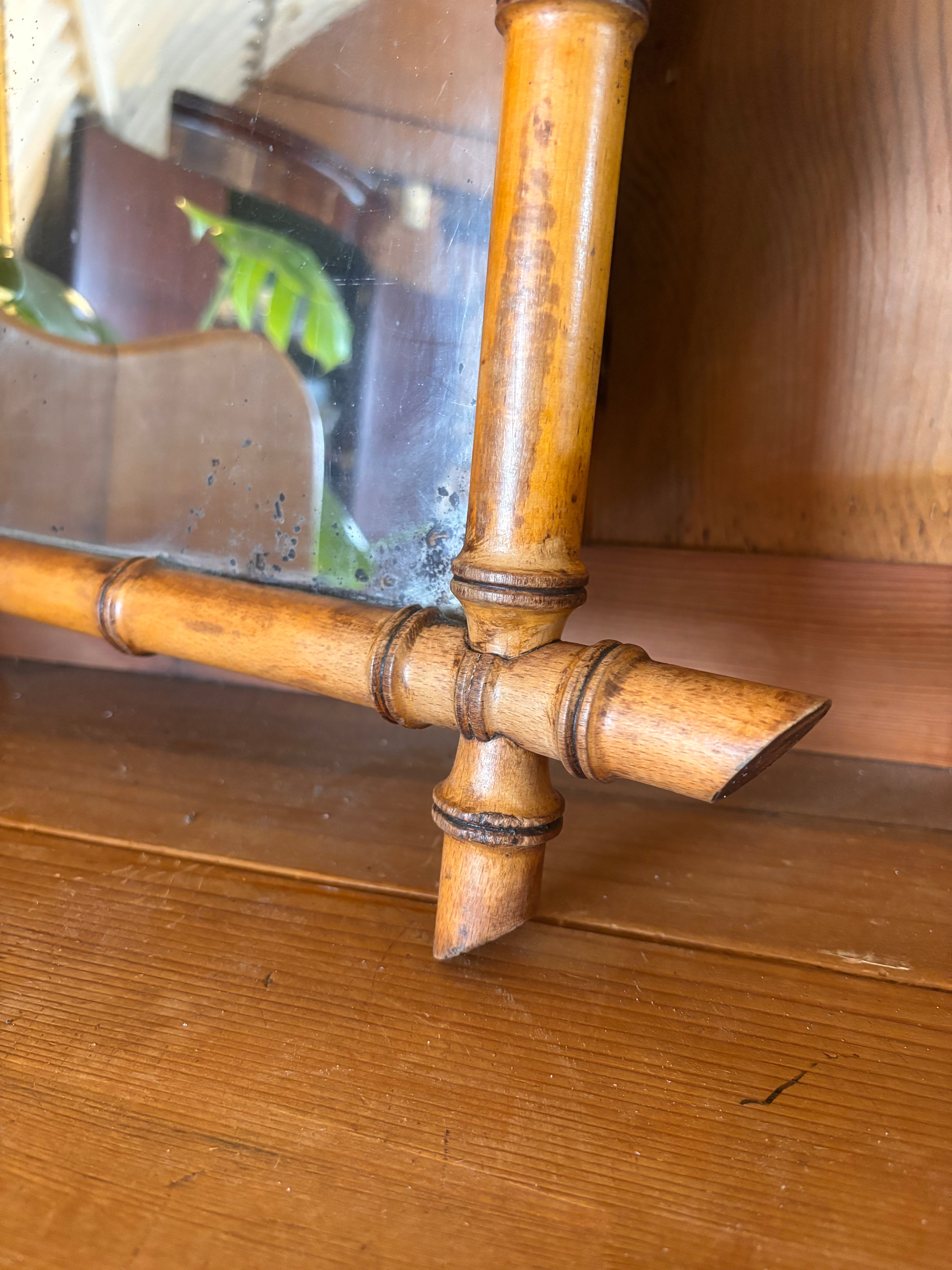 Bamboo Mirror reflecting a plant