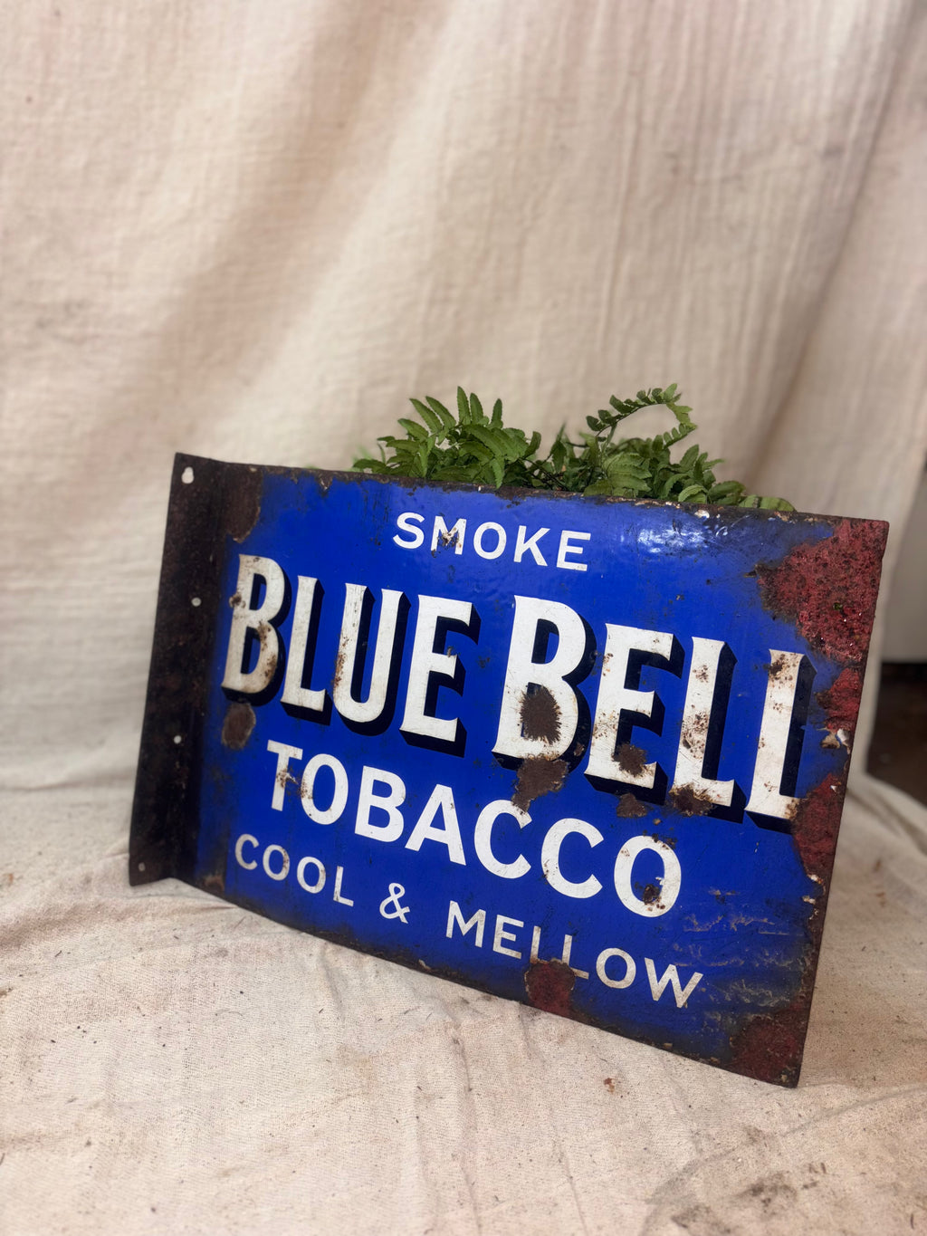 Vintage Blue Bell Tobacco sign with plants on a textured surface