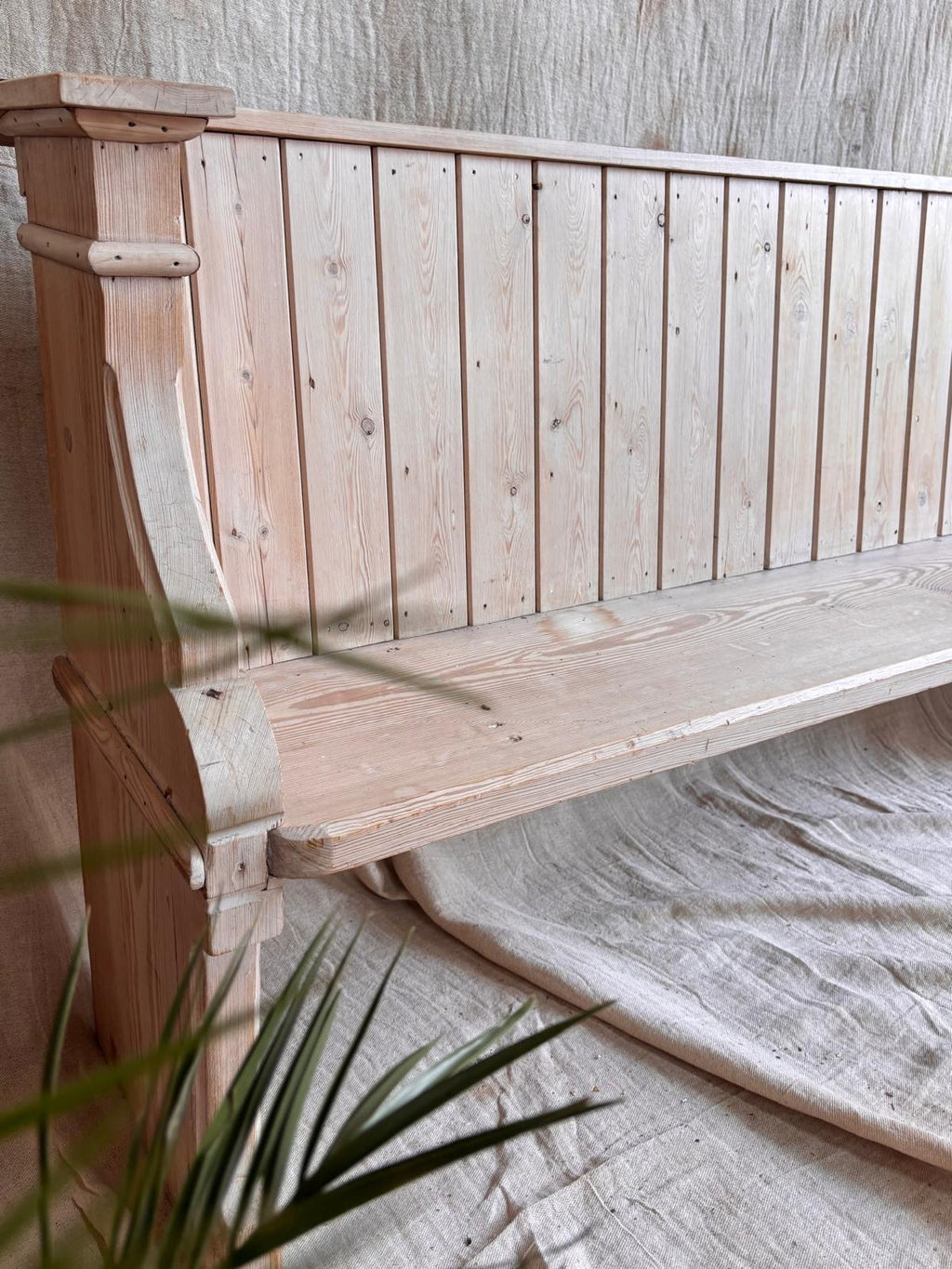Wooden bench with a textured wall and plant in the foreground
