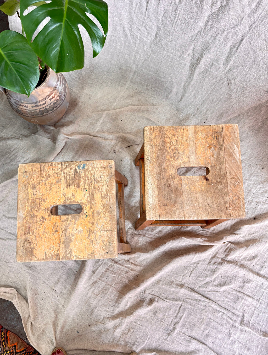 Two wooden stools on a textured surface with a plant in the corner.