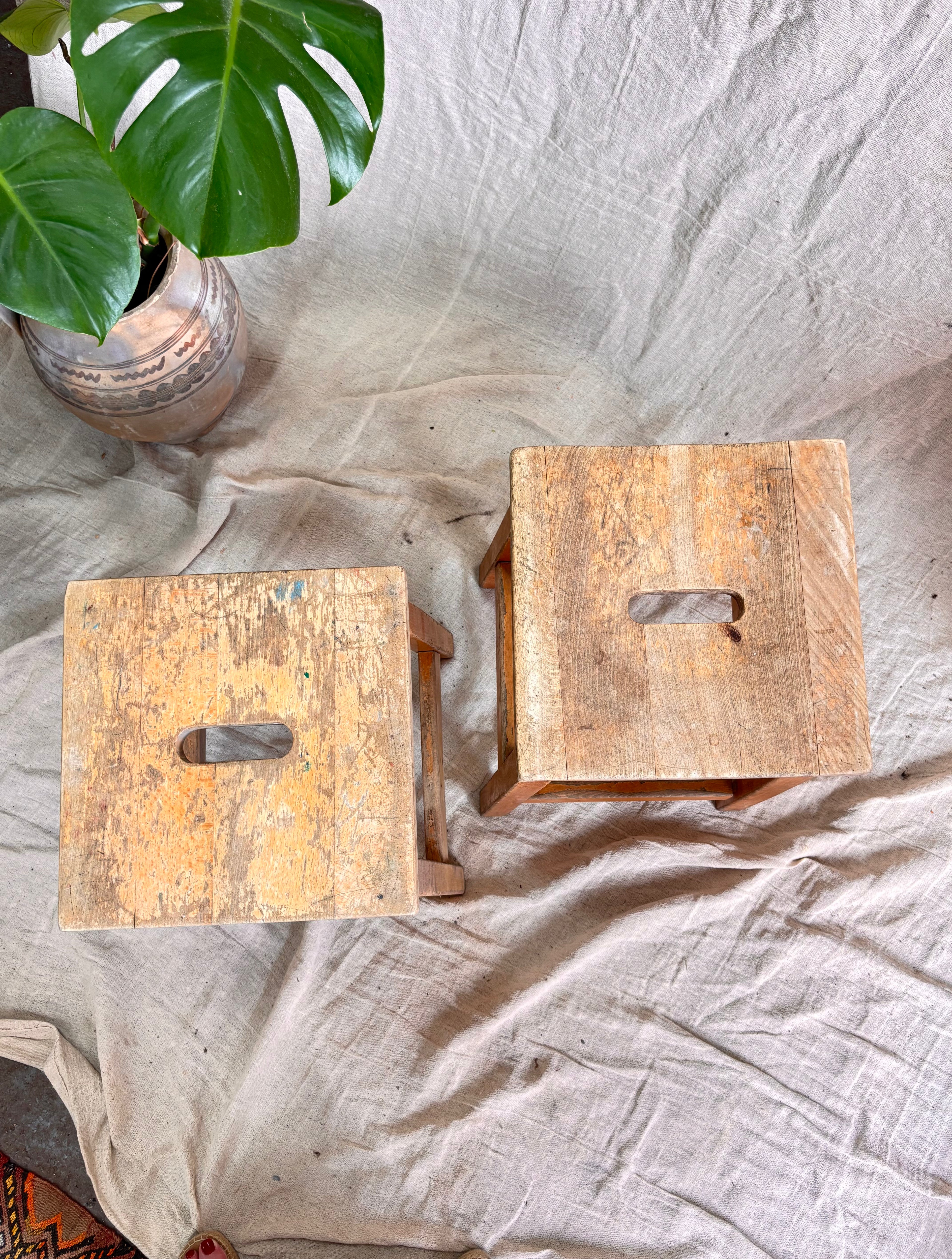 Two wooden stools on a textured surface with a plant in the corner.