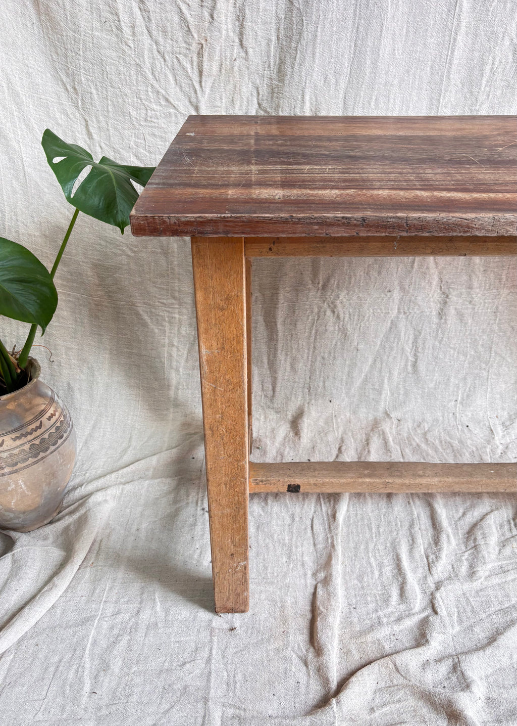 Wooden table with a plant on a textured white background