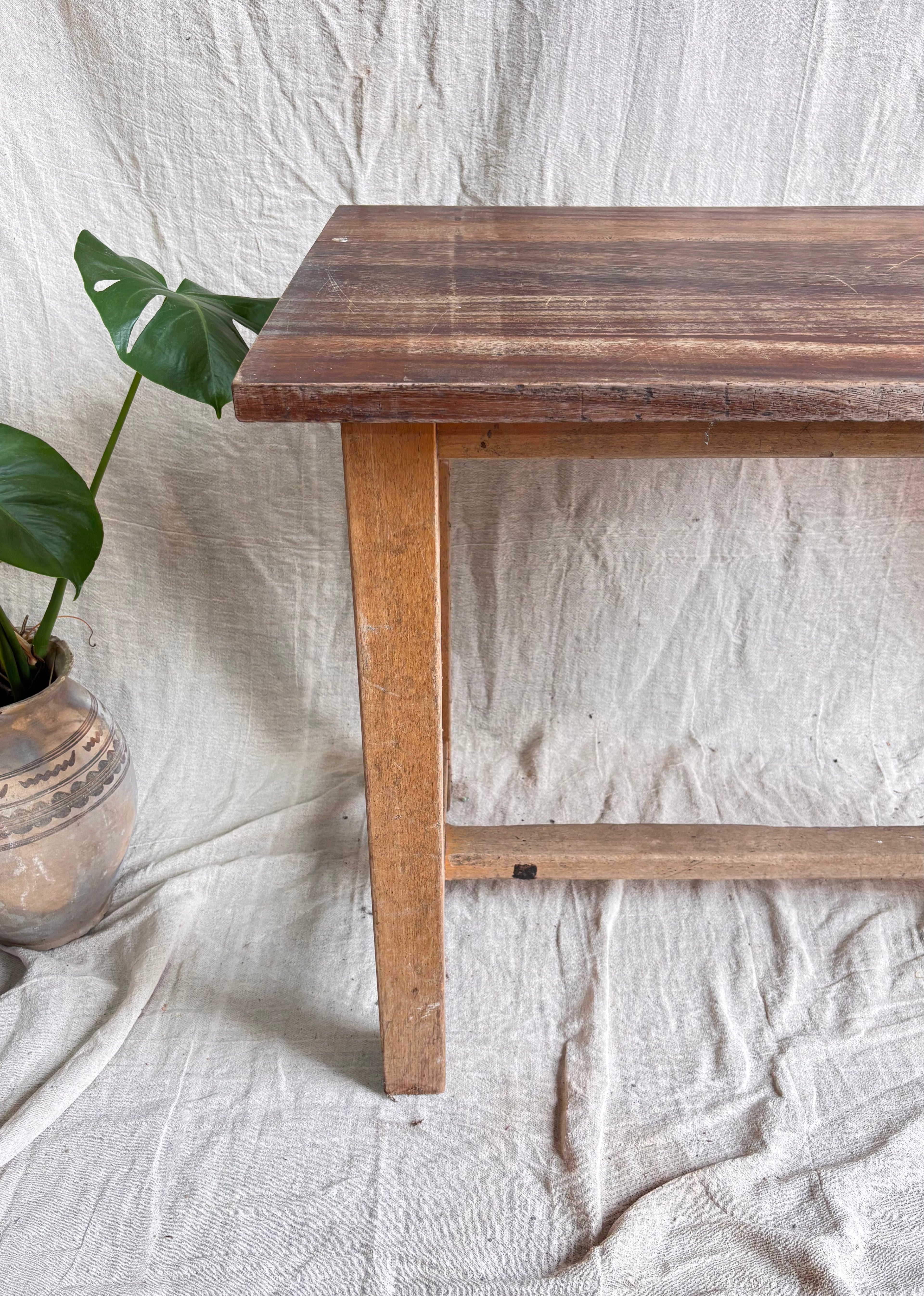 Wooden table with a plant on a textured white background