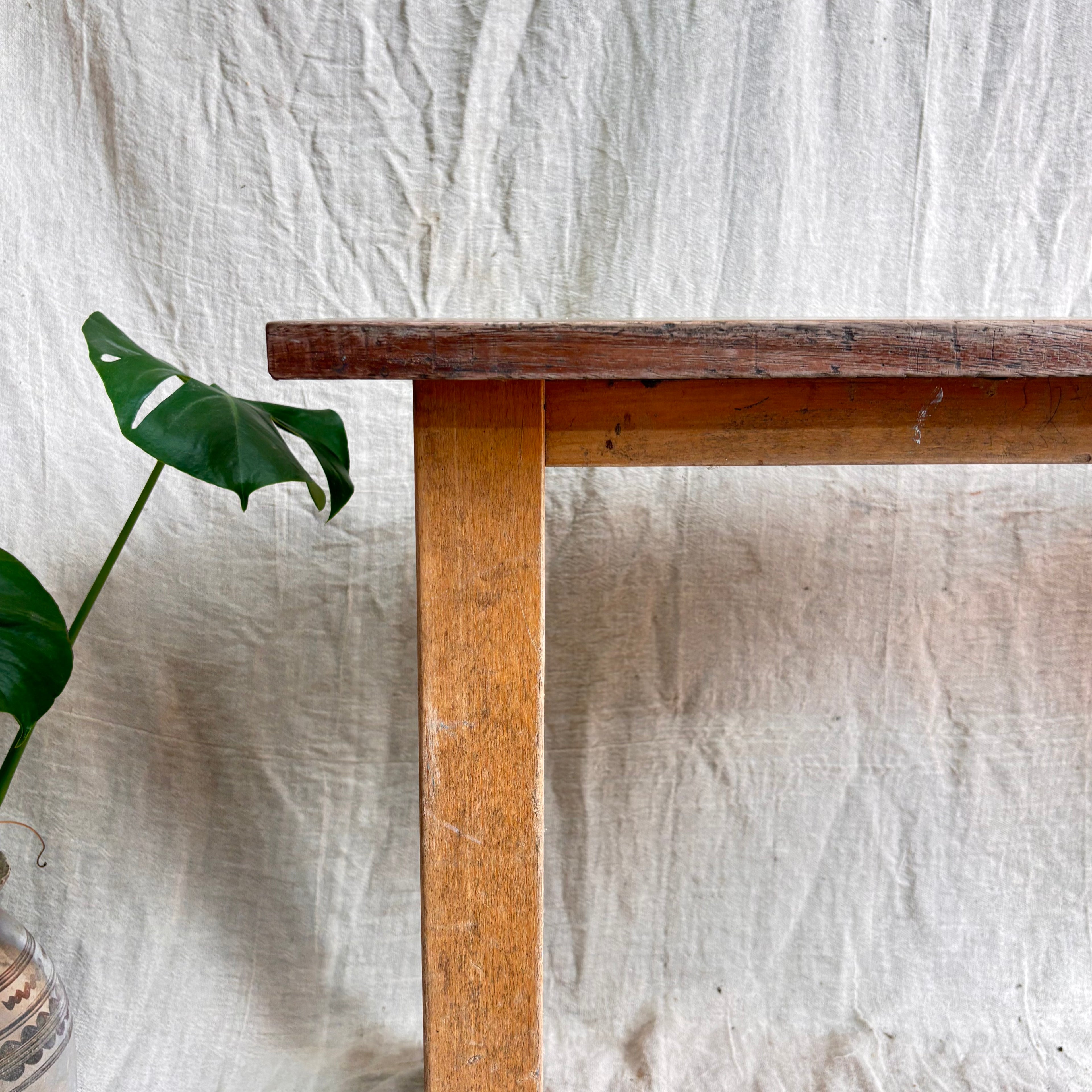 Wooden table with a plant against a textured white wall
