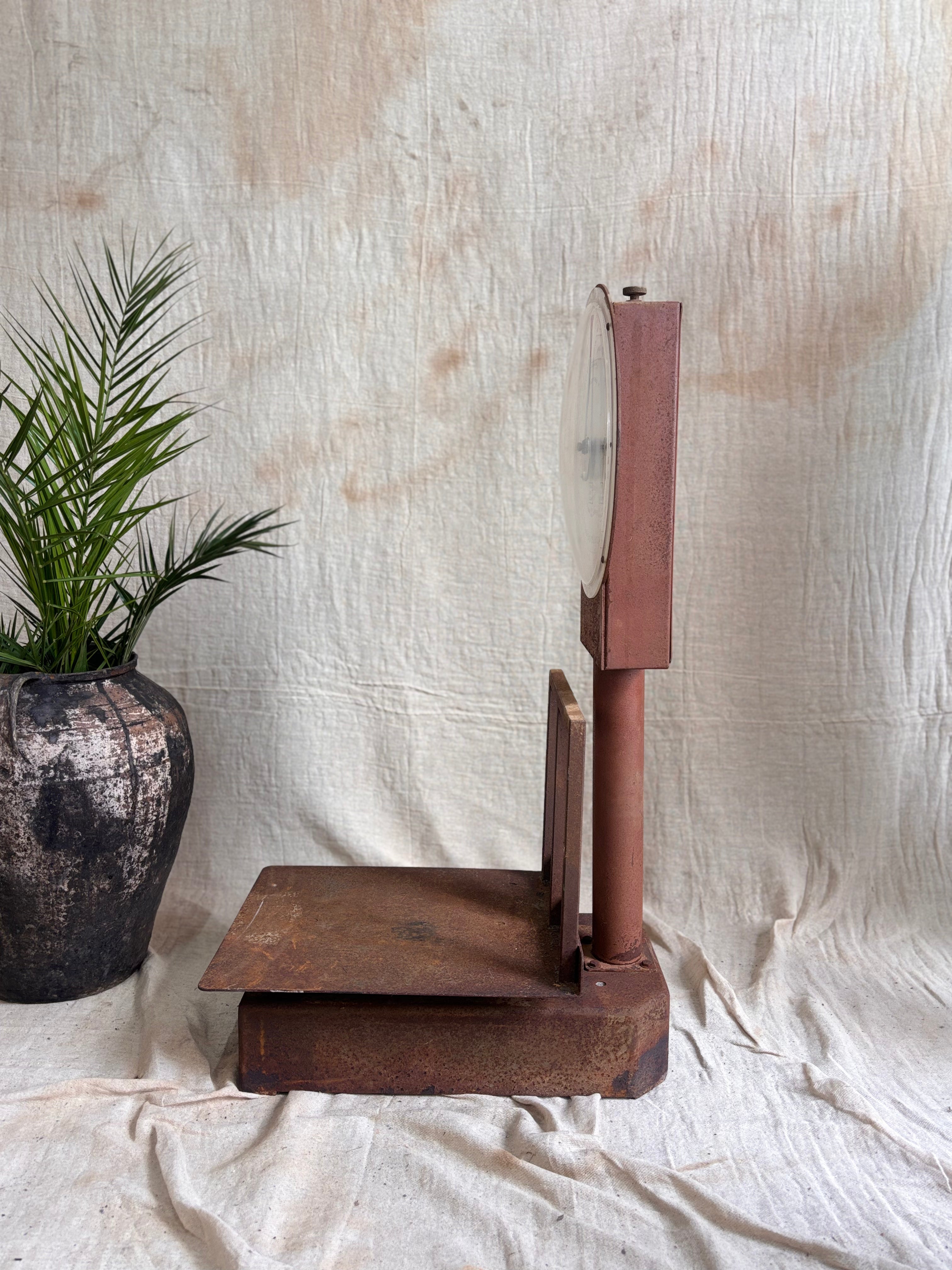 Rusty Vintage Platform Scale against a beige Background with a plant