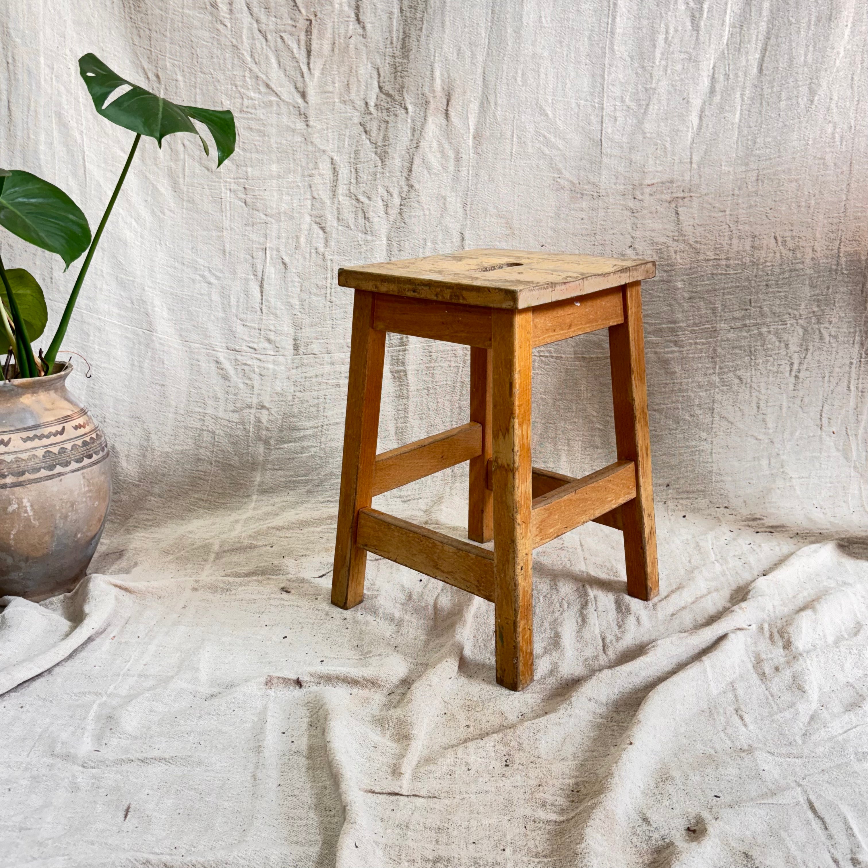 Wooden stool against a textured white wall with a plant to the left.